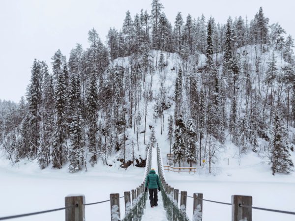 Finland Visa
