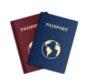 Tourist Visa Agent in India 